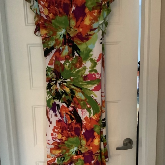 Renuar Dress - Picture 9 of 12